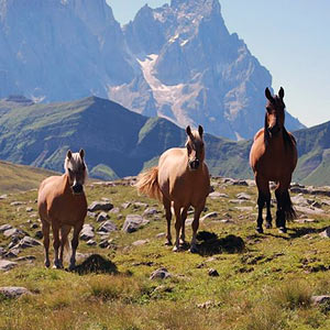 trekking in the Dolomites